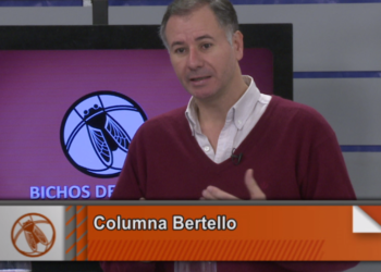 La columna Bertello: Las proyecciones para las carnes argentinas en 2027