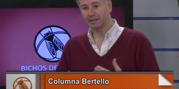 La columna Bertello: Las proyecciones para las carnes argentinas en 2027