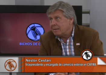 Néstor Cestari: “tiene que terminar la antinomia campo vs. industria”