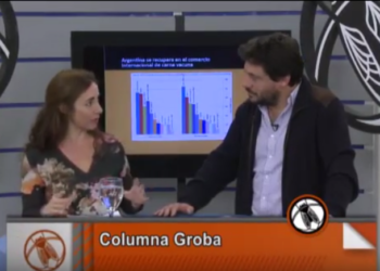 ¡Tomá! Argentina volvió a superar a Paraguay en el comercio de carne