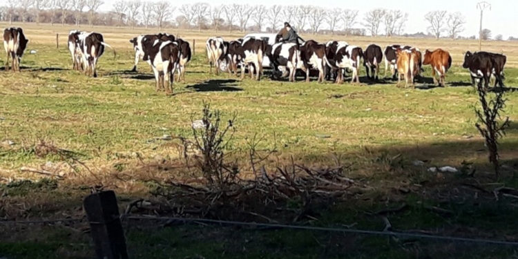 Inseguridad total en Pergamino: una familia chacarera fue asaltada tres veces en diez días