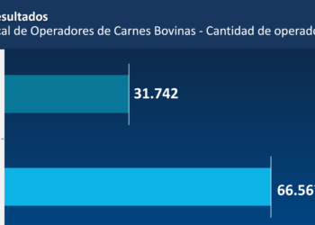 La AFIP saca pecho por el exitoso plan contra la evasión en carnes