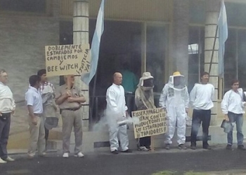 Miel amarga: los 30 apicultores estafados que piden justicia