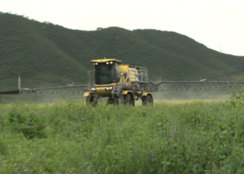 El ingreso de agroquímicos y el “asesor” que molesta a la industria