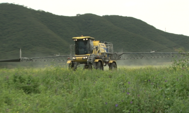 El ingreso de agroquímicos y el “asesor” que molesta a la industria