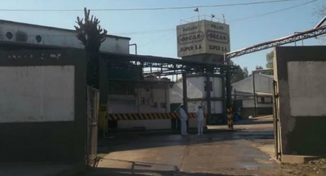 La crisis avícola se siente: Granja Tres Arroyos detuvo una planta