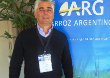 Federico Gadea: ¿por qué se achica la producción de arroz?