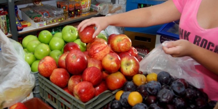 El colmo de la crisis: quieren pagar con fruta una deuda salarial