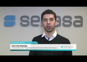 Héctor Medina: “Las langostas no saben de fronteras”