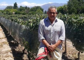 Con el vino no jodan: caen cerca de 20% el consumo y la exportación