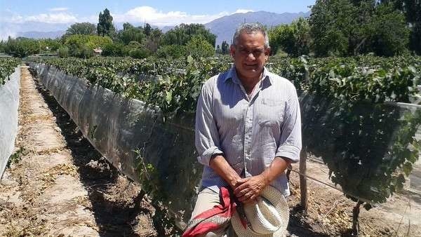 Con el vino no jodan: caen cerca de 20% el consumo y la exportación