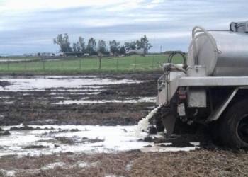Imágenes extremas: un arreo en Kayak y el tambo que tuvo que tirar leche