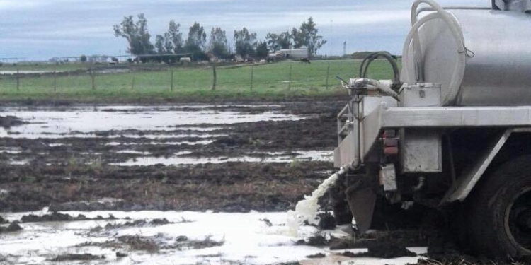 Imágenes extremas: un arreo en Kayak y el tambo que tuvo que tirar leche