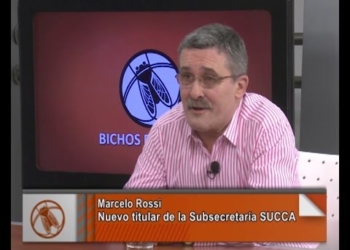 No se habilitarán más lugares para la faena de bovinos hasta fin de año