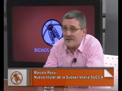 No se habilitarán más lugares para la faena de bovinos hasta fin de año