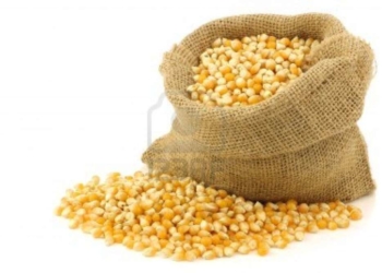 Hay 12 millones de toneladas de diferencia entre la cosecha oficial y la privada