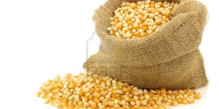 Hay 12 millones de toneladas de diferencia entre la cosecha oficial y la privada