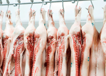 Chau a los ROI: ya no se regulan las importaciones de carne porcina