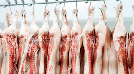 Chau a los ROI: ya no se regulan las importaciones de carne porcina