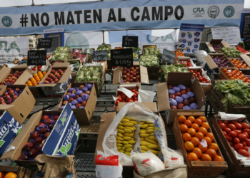 Naranjas y peras, al tope entre las cadenas más distorsionadas
