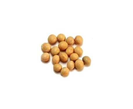 Uno de cada 20 granos producidos en el mundo es… argentino