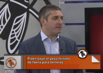¿Cómo es la propuesta de los frigoríficos por el peso de faena?
