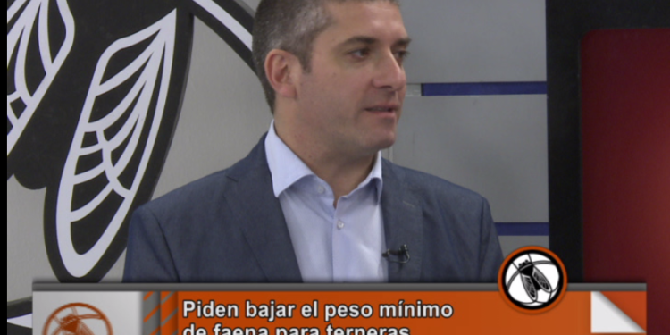 ¿Cómo es la propuesta de los frigoríficos por el peso de faena?