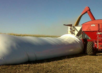 Silobolsas: el acuerdo que todos firmaron pero que casi nadie quiere aplicar