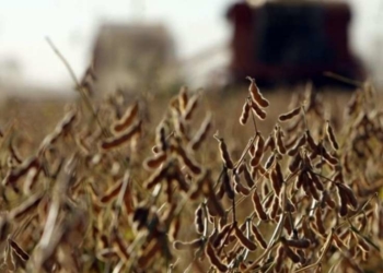 ¿Dormidos?: dos productores santiagueños fueron los primeros en recuperar retenciones