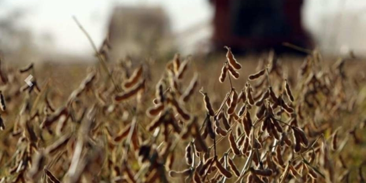 ¿Dormidos?: dos productores santiagueños fueron los primeros en recuperar retenciones