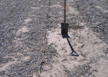 Para cuidar el recurso, deciden crear un “observatorio de suelos”