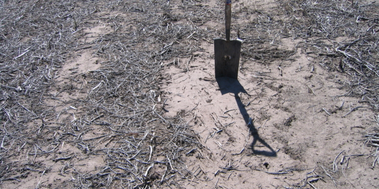Para cuidar el recurso, deciden crear un “observatorio de suelos”