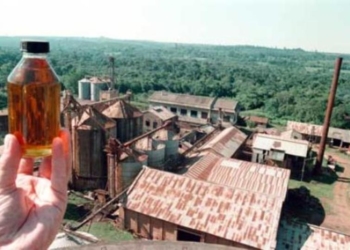 Los cultivos abandonados de la tierra colorada