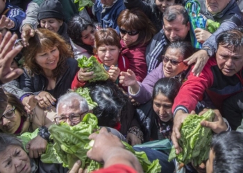 Se impone la moda del “verdurazo”: llega por primera vez a Jujuy