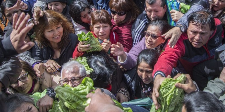 Se impone la moda del “verdurazo”: llega por primera vez a Jujuy