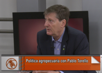 Pablo Torello: “Los K ven al campo como proveedor de recursos y no como parte de la solución”