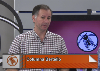 La columna Bertello: Un panorama negro para el biodiésel argentino