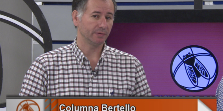 La columna Bertello: Un panorama negro para el biodiésel argentino