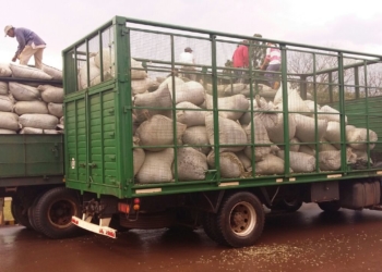 Parece joda pero es en serio: decomisaron 14,5 toneladas de palitos de yerba mate