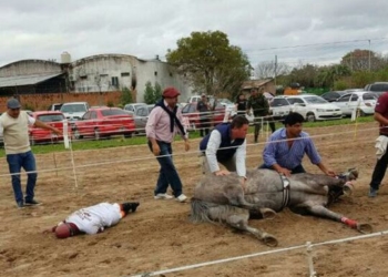 Doña Fantasía, el “Pepe” Sand y las sospechas de dóping