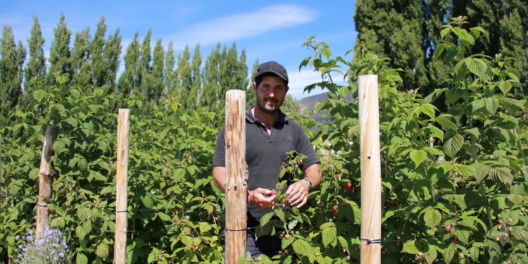 Melones en el glaciar, cosas de agrónomo