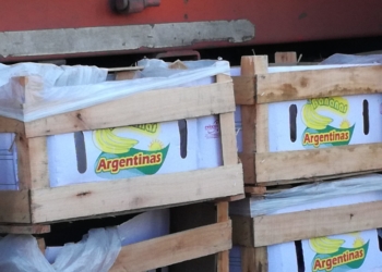 Con la protesta en Plaza de Mayo, la Argentina se recibió de “país bananero”