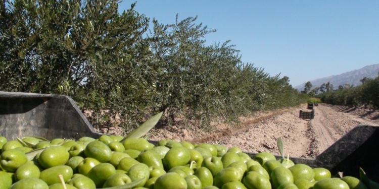 Borrón para las deudas de las empresas que nacieron con el Régimen de Promoción Industrial
