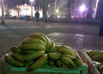 José Checa: “Los importadores trajeron 20% más banana, que es nuestra cuota de mercado”