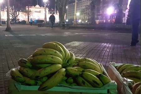 José Checa: “Los importadores trajeron 20% más banana, que es nuestra cuota de mercado”