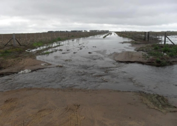 Llega la Waze del campo: te cuenta dónde hay caminos inundados