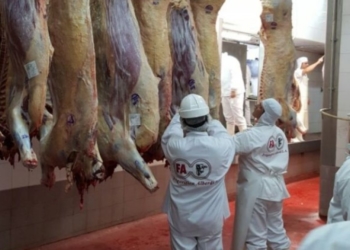 Chile desaprobó a la mitad de los frigoríficos y corren peligro las exportaciones de carne
