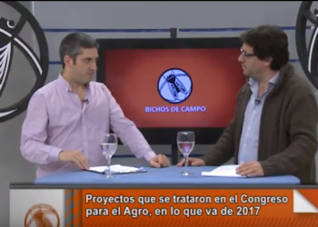 Un Congreso muy trabado que casi no produce leyes para el agro