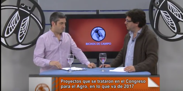 Un Congreso muy trabado que casi no produce leyes para el agro