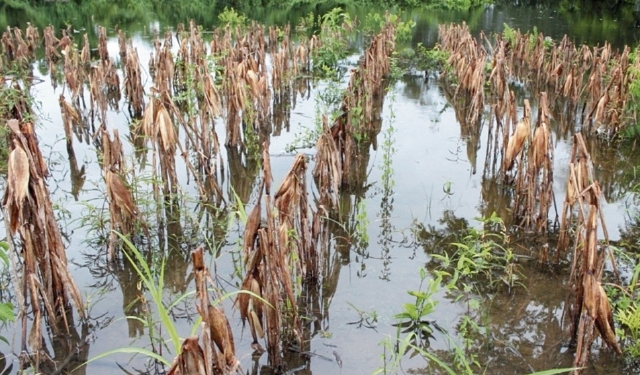¿Cómo será la cobertura contra inundación y sequía que prepara el Gobierno?
